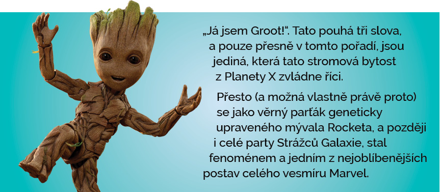 groot main 03